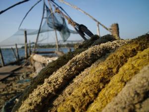 Chinese fishing nets at Fort Kochi