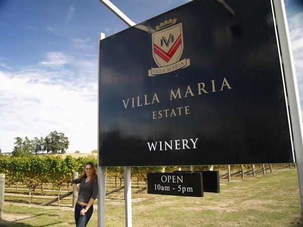 Our favourite winery