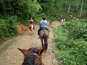 First steps on our horses - Finca El Cisne