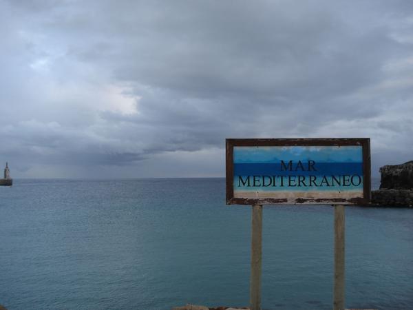 The Med