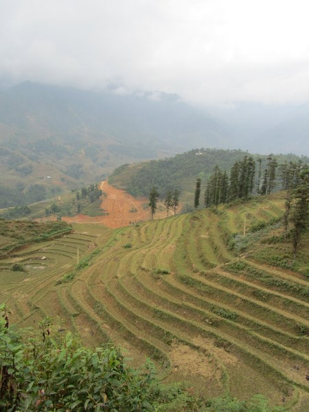 Terracing for agriculture