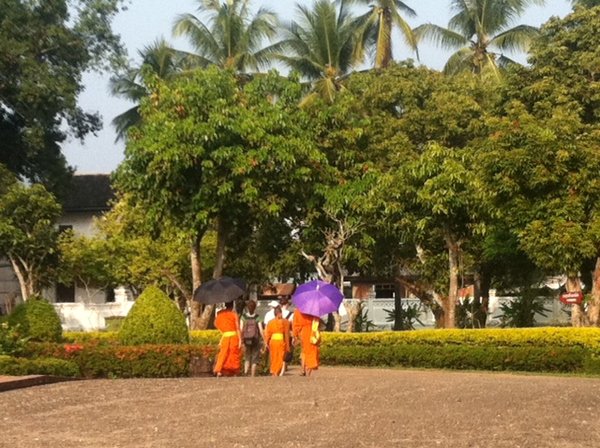 More monks