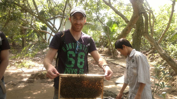 Vinny and the bees!