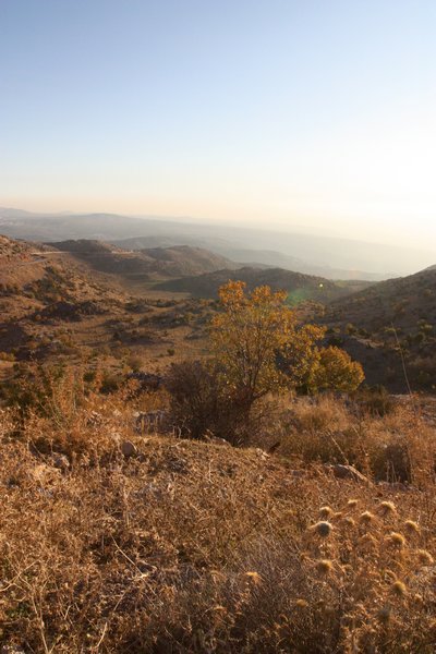 View of Golan