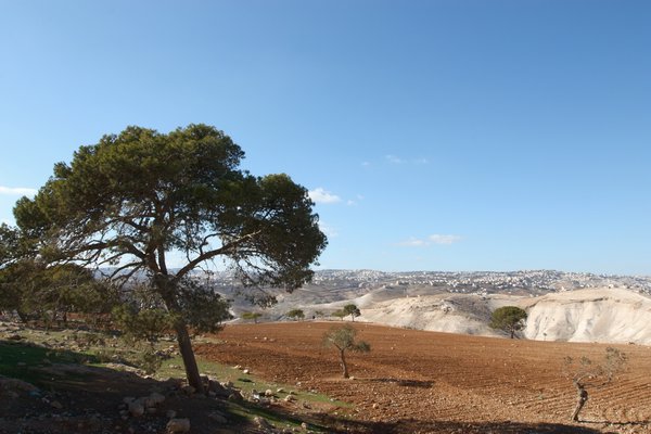 View of Jerusalem on the way to Hebron