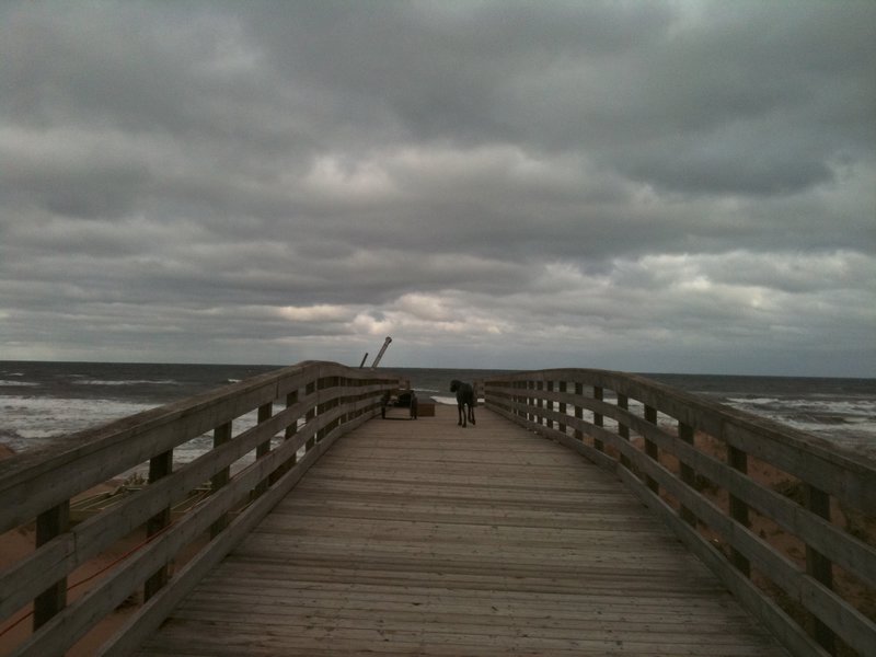 Einsamer Strand (weil kalt) auf Prince Edward Island