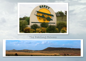 Oakey, Darling Downs, Qld.