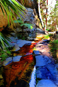 Colourful Creek Bed