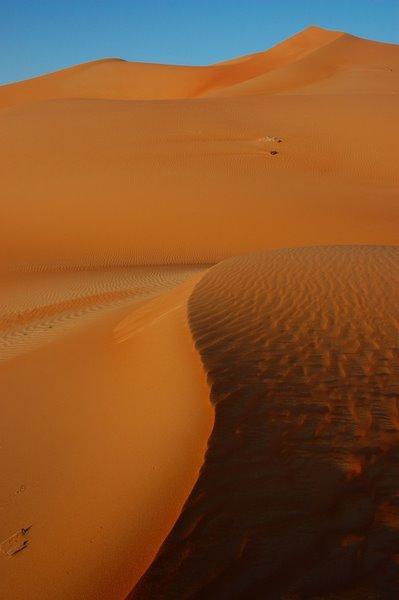 Odd Dunes