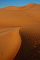 Odd Dunes