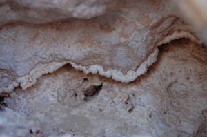 Calcium formation in a small cave