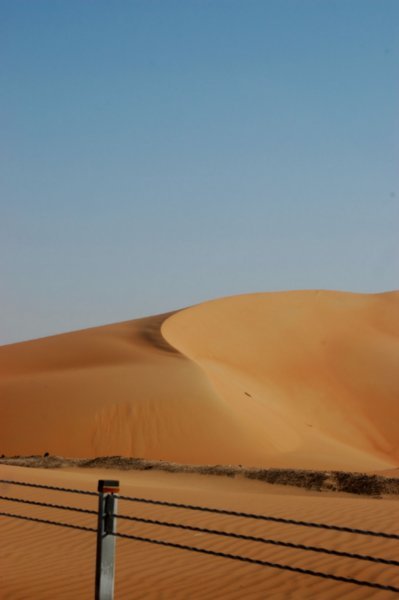 Wayward Dune