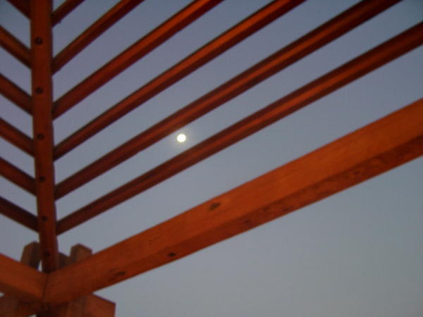 Moon in a cage