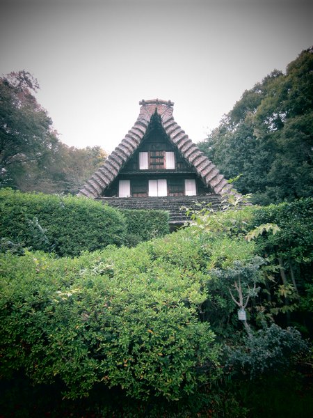The Emukai House
