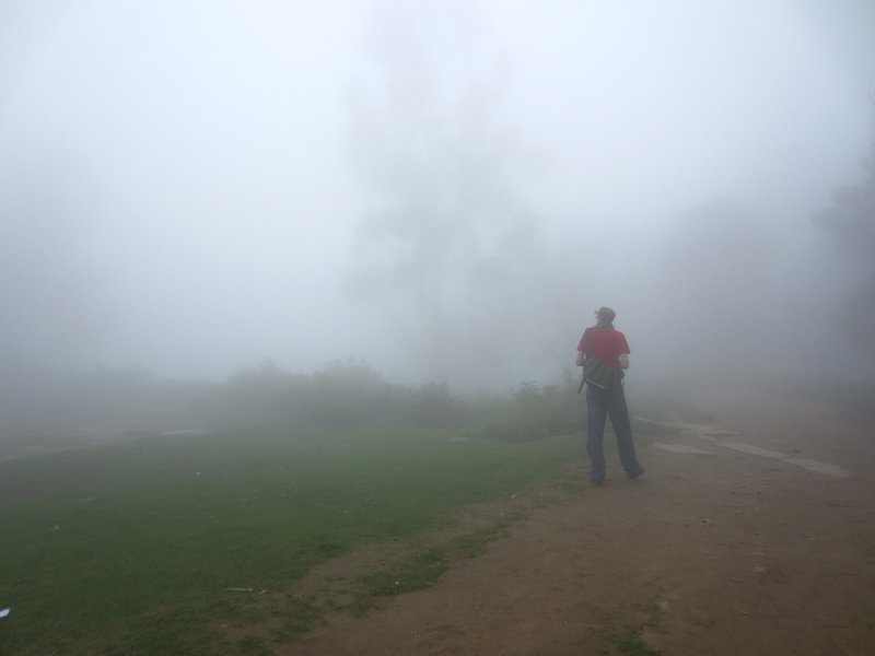 Guerilla in the Mist