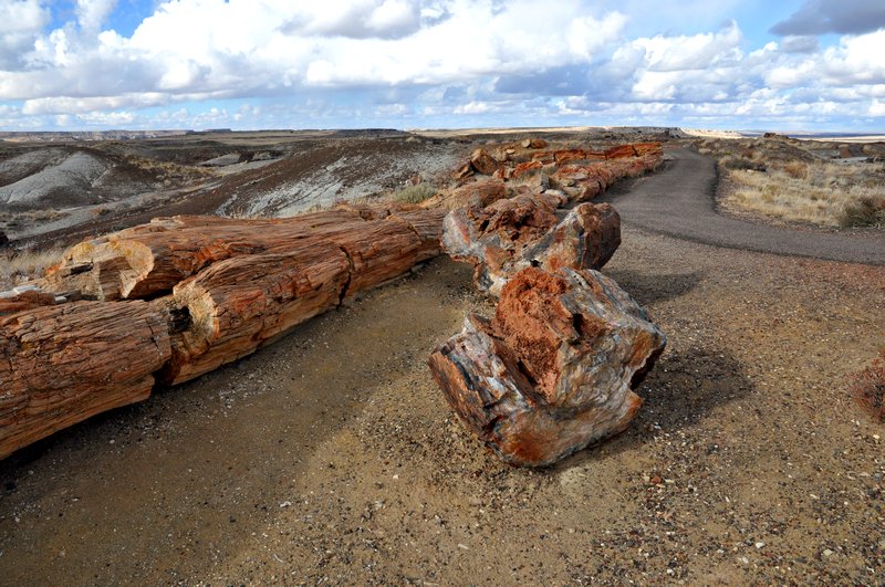 Petrified Forest 2