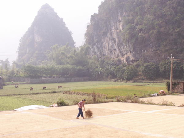 Countryside scenery by the Yulong River