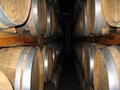 La Rural large barrels of Cabernet Sauvignon