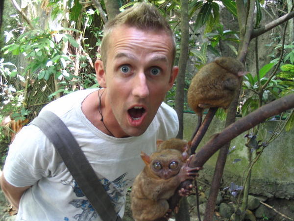 Neil and tarsiers