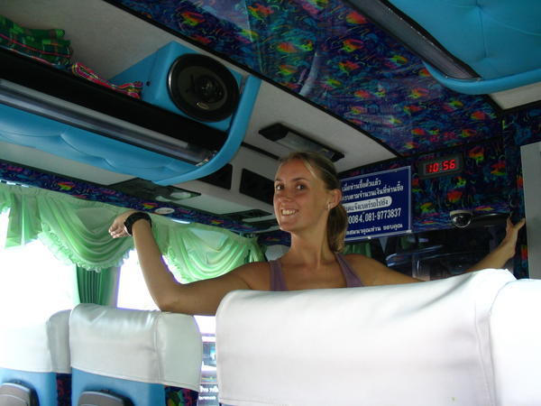Bus and upholstery