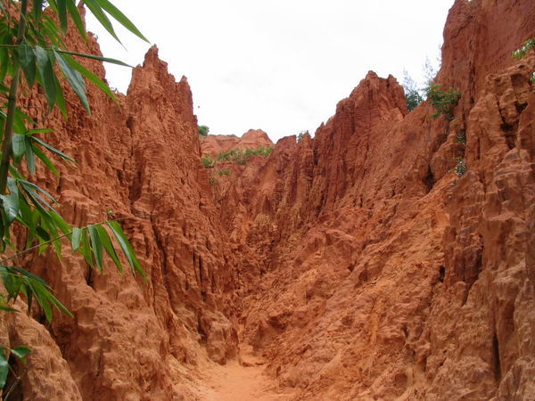 The red canyon