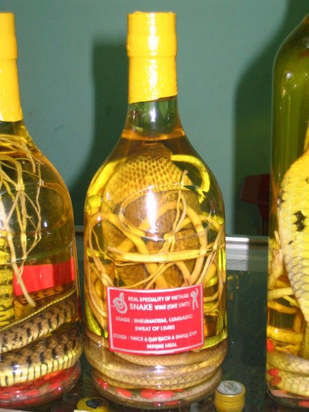 snake wine