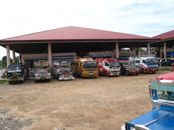 different varieties of jeepney