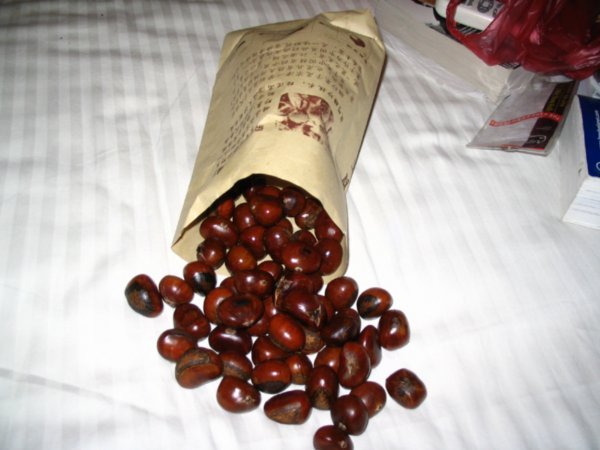 We got all of these chestnuts for 40p