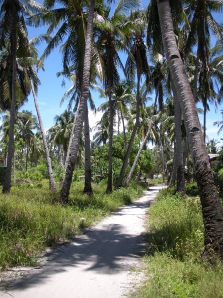island path