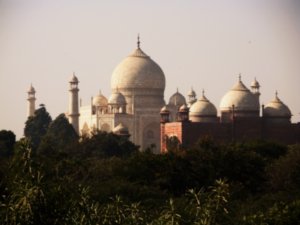 view of the Taj Mahal from the 'Nature Walk'