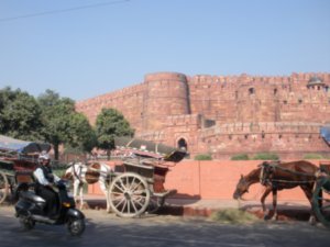 horses and carts at the Fort