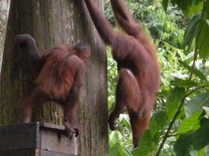 climbing to work up an appetite