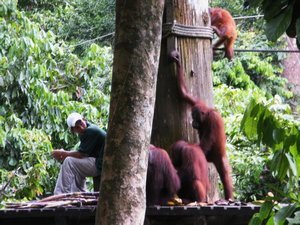 gathered around the food