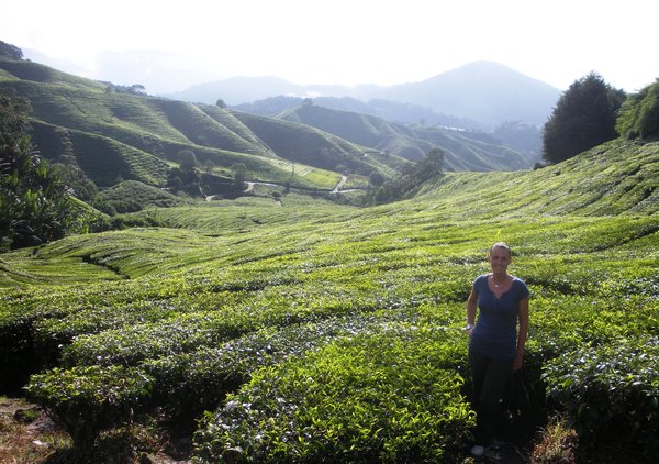 Donna and tea plantation