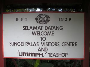 welcome sign at the tea factory