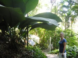 Donna and a big plant