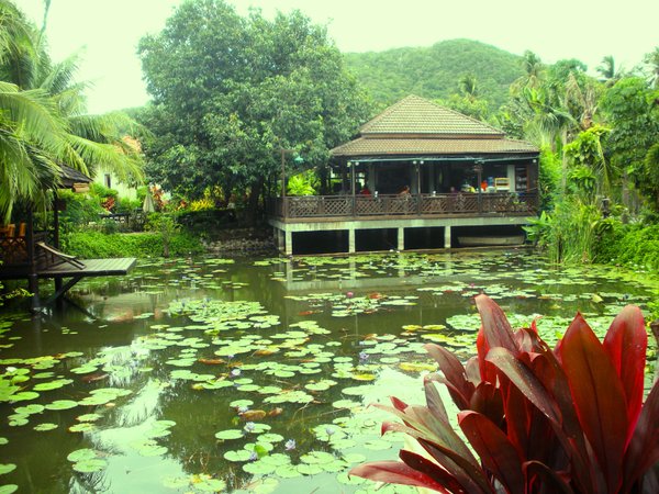 Restaurant overlooking the lily pond