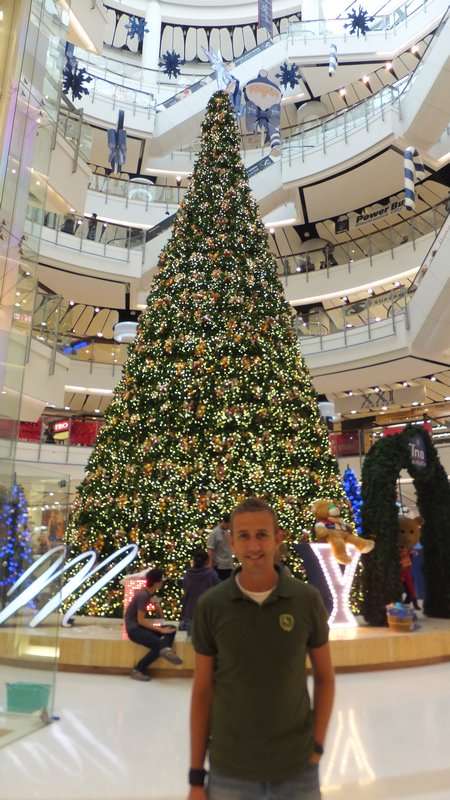 Neil and a Christmas tree