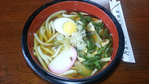 Ramen with udon noodles