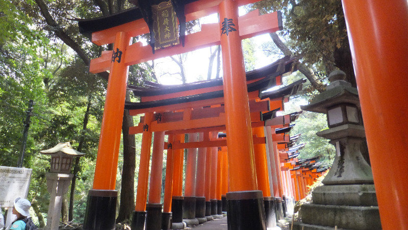 The beginning of the torii gates