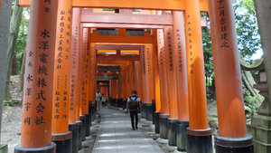 The beginning of the torii gates