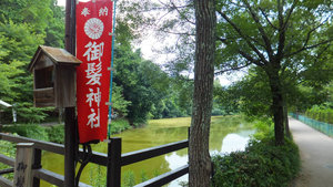Pond outside the the bamboo forest