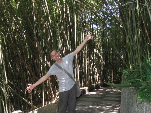 The big bamboo!