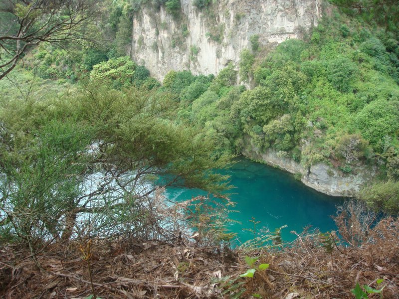 Waikato river