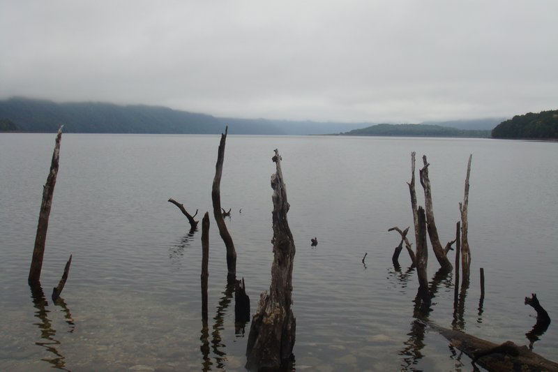Monowai Lake