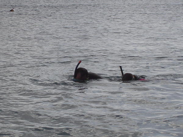 Dad and Emily Snorkelling