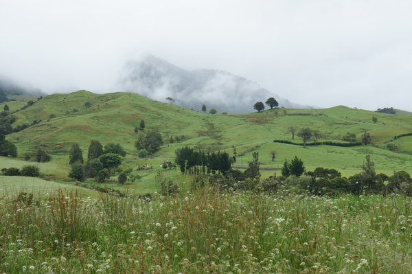 hobbit hills