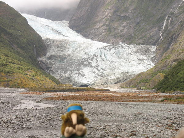 Welly is much more photogenic then me. Here he is at Franz Josef Glacier