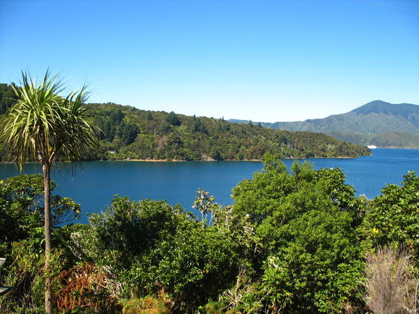 Oh How I Love Queen Charlotte Sound!