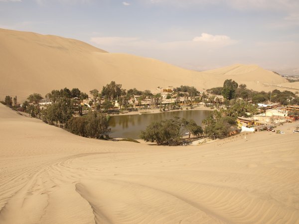 Sand Dune Oasis